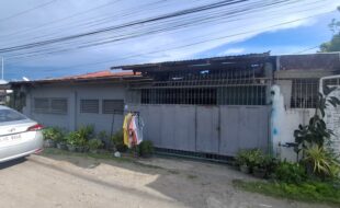 1955265 pic001