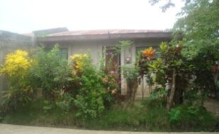 1962795 pic001