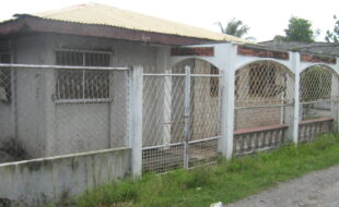 1975349 pic001