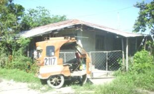 1977308 pic001