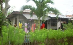 1977347 pic001