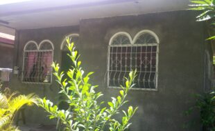 1991576 pic001