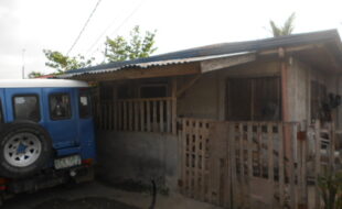 1998247 pic001