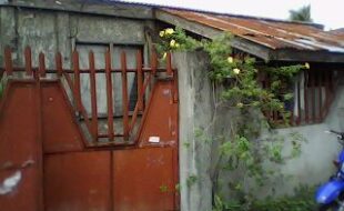 2002813 pic001