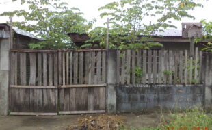2004614 pic001