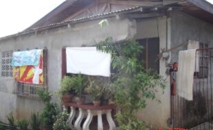 2008105 pic001