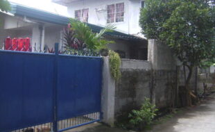 2017737 pic001