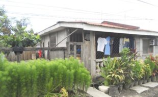 2018886 pic001