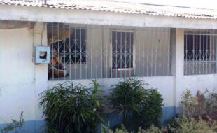 2018893 pic001