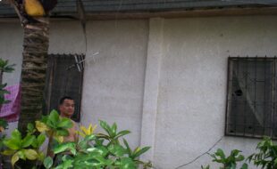 2023261 pic001