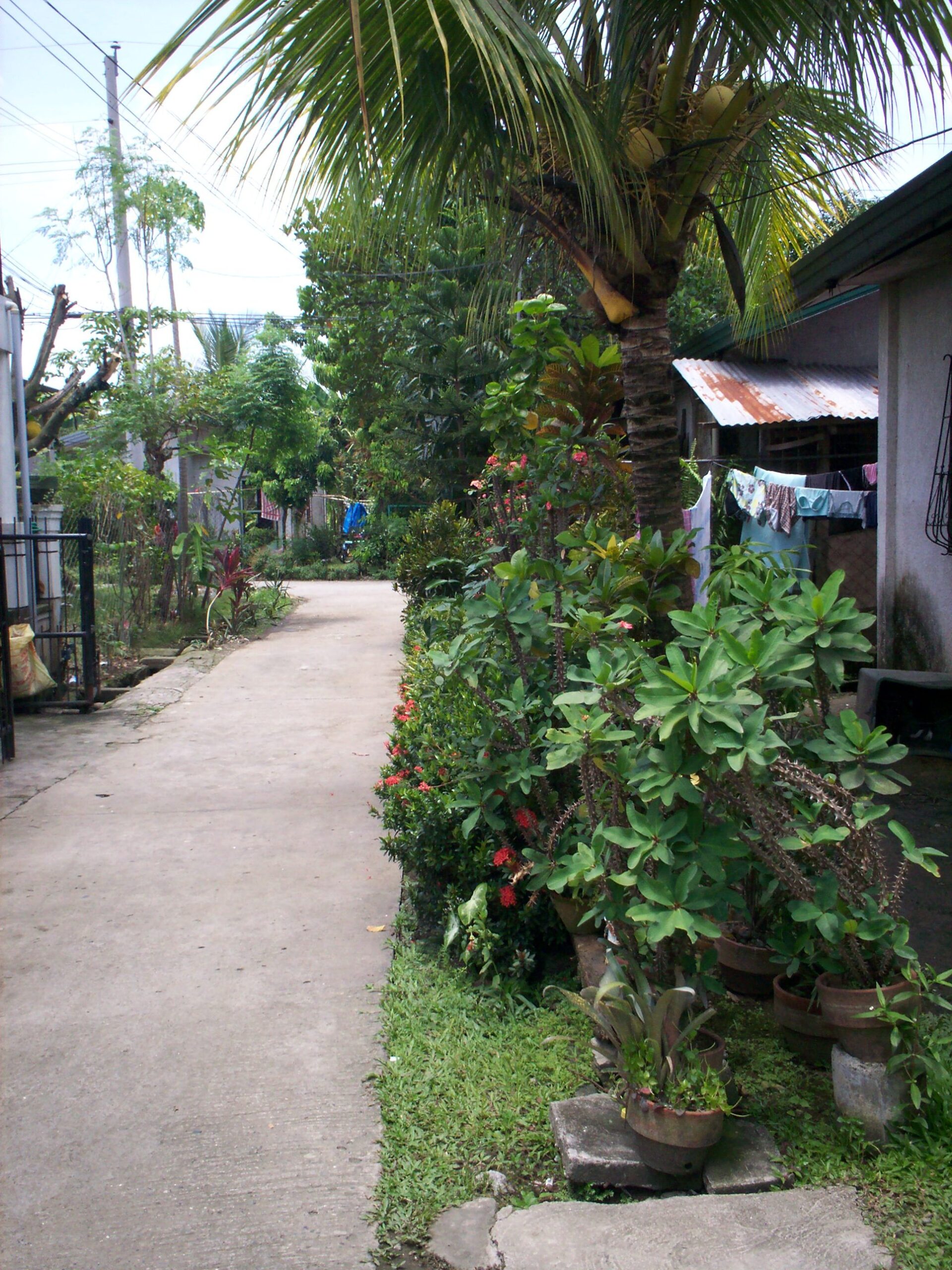 2023261 pic002 scaled