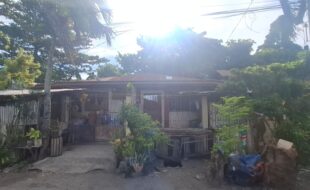 2030659 pic001