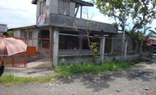 2036463 pic001