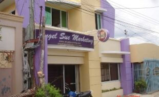 Foreclosed Properties Philippines Database 8 2041884 pic001
