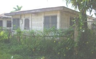 2044953 pic001