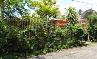 Foreclosed Properties Philippines Database 23 2045991 pic001