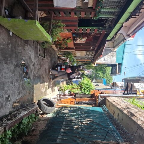 2047785 pic002 rotated