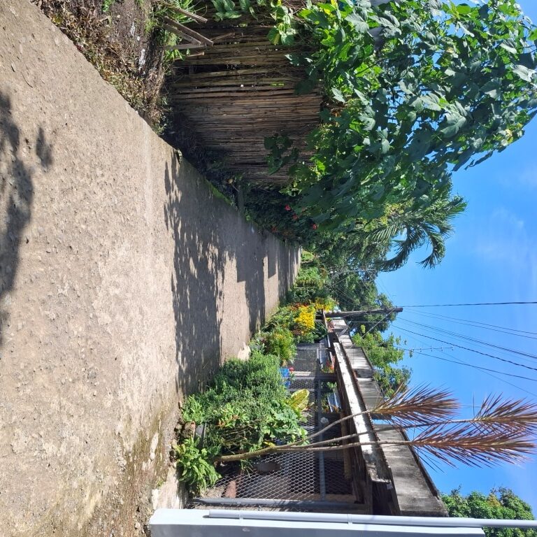 2050384 pic002 rotated