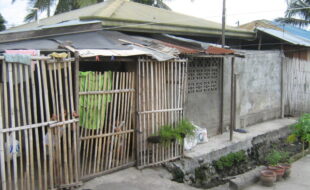 2055182 pic001