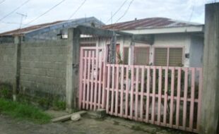 2064782 pic001