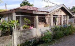 2066171 pic001