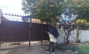 2070239 pic001
