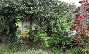 Foreclosed Properties Philippines Database 19 2077991 pic001