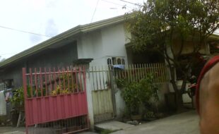2087182 pic001