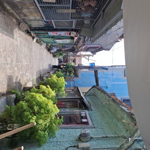 2094326 pic002 rotated