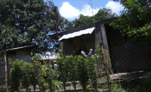 DIGITAL CAMERA