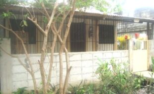 2115338 pic001