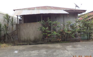 2123226 pic001