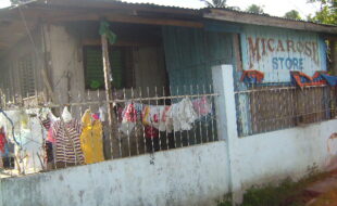 DIGITAL CAMERA