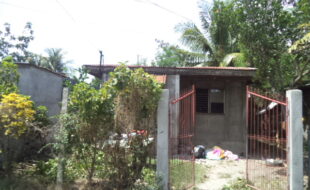 2123756 pic001