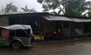 Foreclosed Properties Philippines Database 3 2129331 pic001