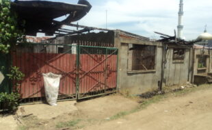 2132374 pic001