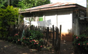 2137498 pic001