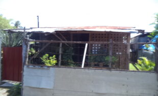 2142522 pic001