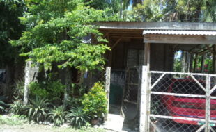 2159222 pic001