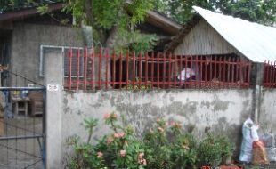 2163486 pic001