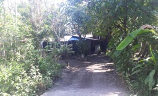 2169323 pic001