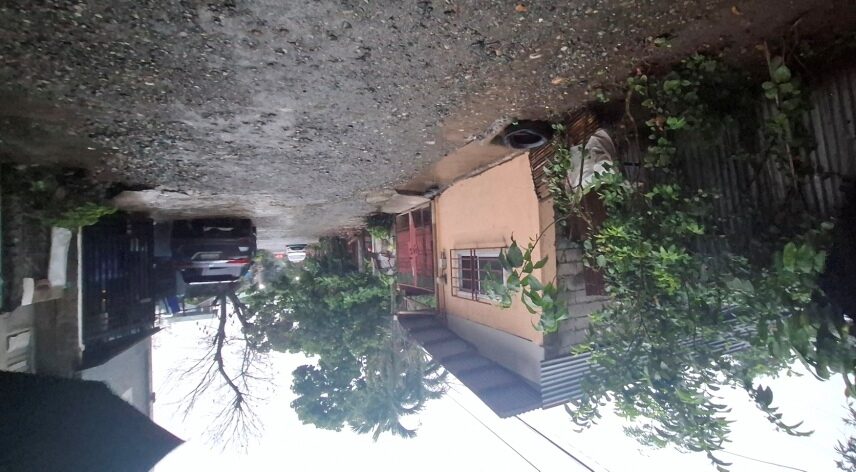 2170289 pic002 rotated