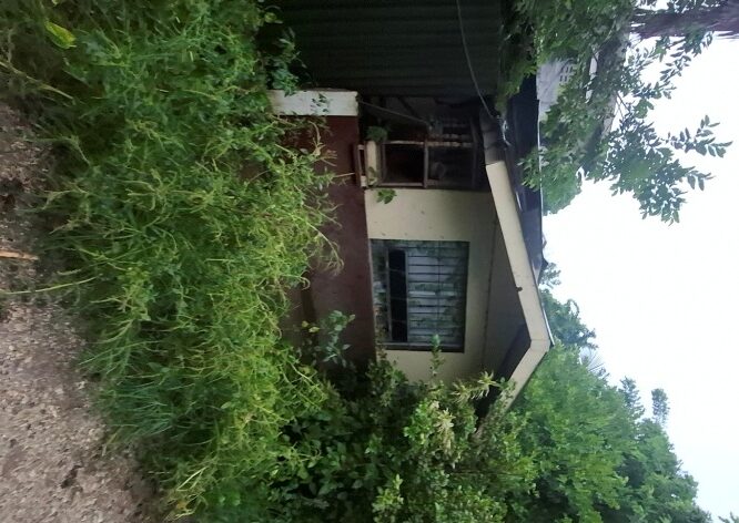 2171786 pic001 rotated