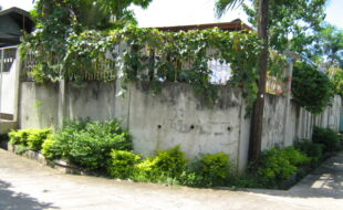 2172445 pic001