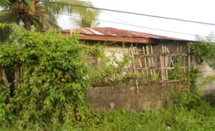 2175632 pic001