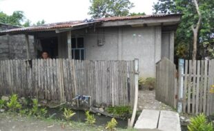 2175657 pic001