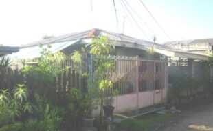 2178471 pic001