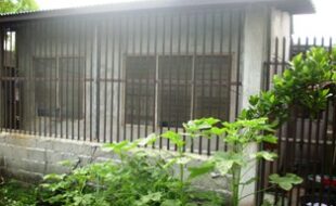 2191164 pic001