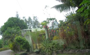 2211073 pic001