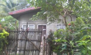 2218733 pic001